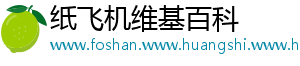 纸飞机维基百科